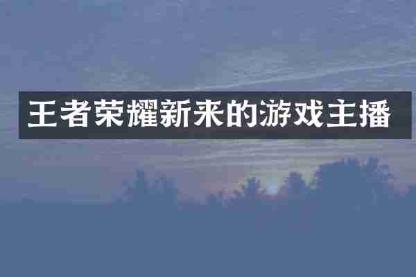 王者荣耀新来的游戏主播