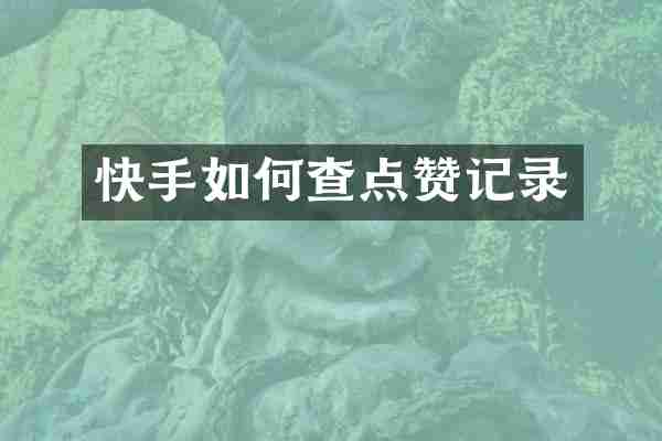 快手如何查点赞记录