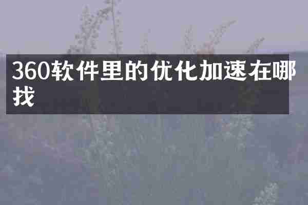 360软件里的优化加速在哪找