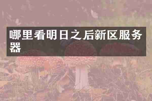 哪里看明日之后新区服务器