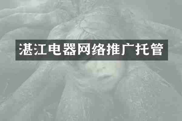 湛江电器网络推广托管