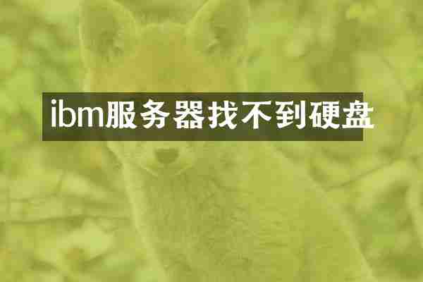 ibm服务器找不到硬盘
