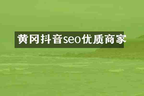黄冈抖音seo优质商家