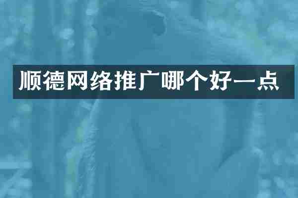 顺德网络推广哪个好一点