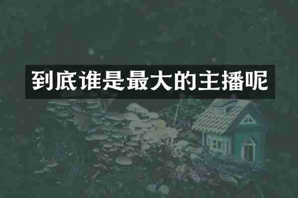 到底谁是最大的主播呢