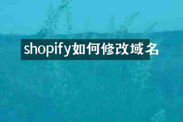 shopify如何修改域名