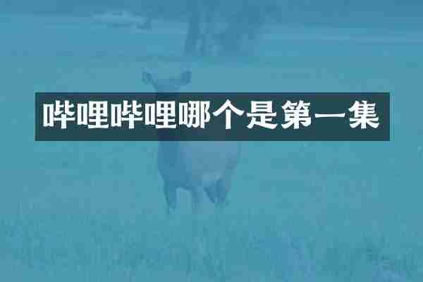 哔哩哔哩哪个是第一集
