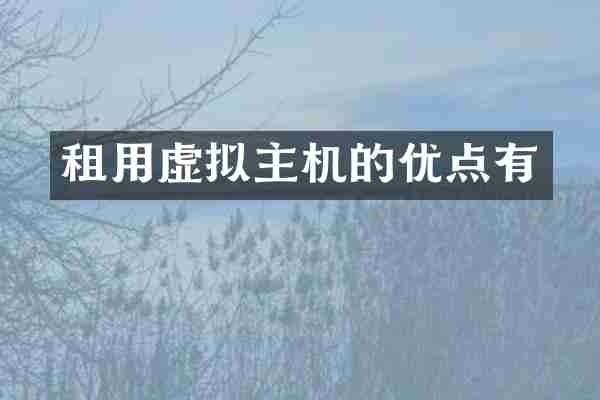 租用虚拟主机的优点有