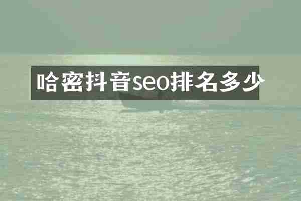 哈密抖音seo排名多少