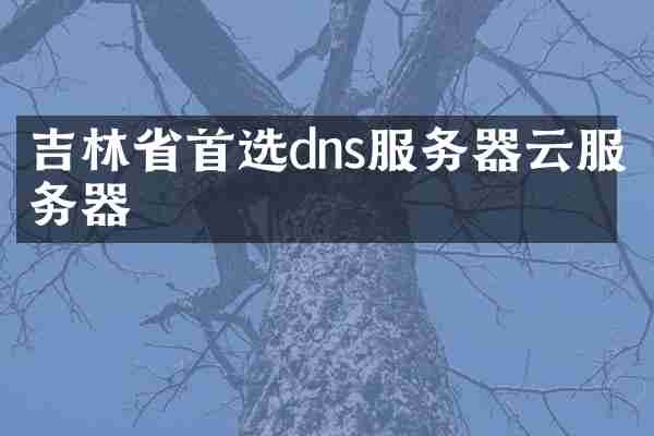 吉林省首选dns服务器云服务器