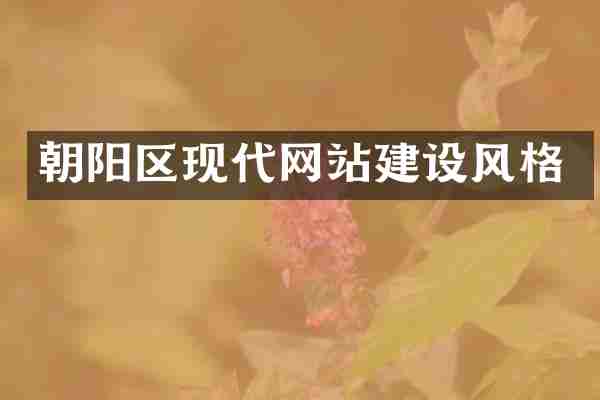 朝阳区现代网站建设风格