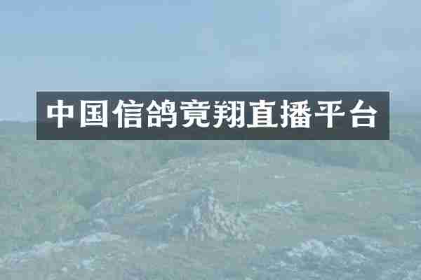 中国信鸽竟翔直播平台