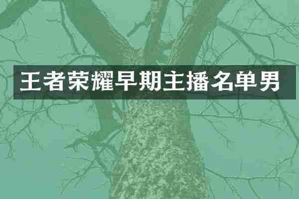 王者荣耀早期主播名单男