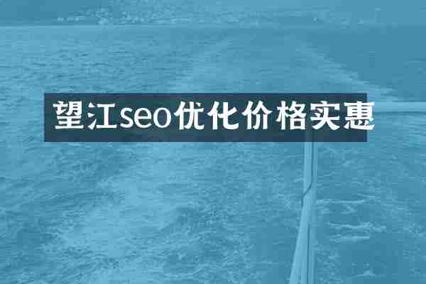 望江seo优化价格实惠