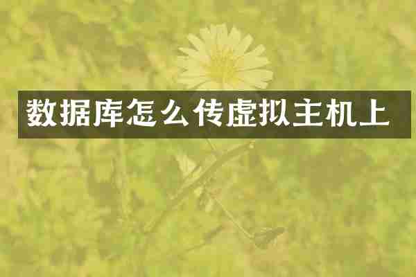 数据库怎么传虚拟主机上