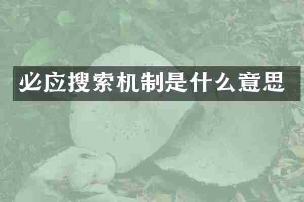 必应搜索机制是什么意思