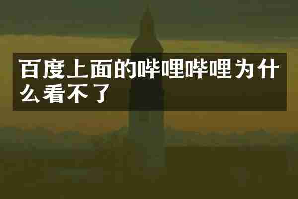 百度上面的哔哩哔哩为什么看不了