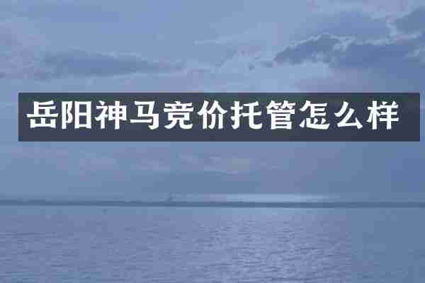 岳阳神马竞价托管怎么样