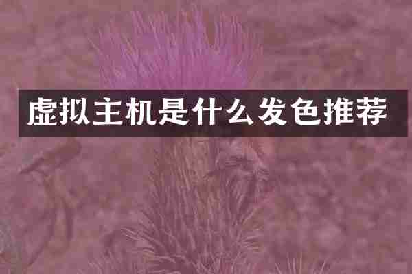 虚拟主机是什么发色推荐