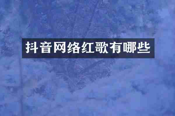抖音网络红歌有哪些