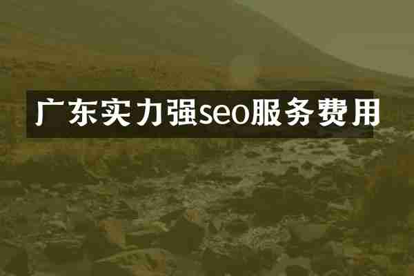 广东实力强seo服务费用
