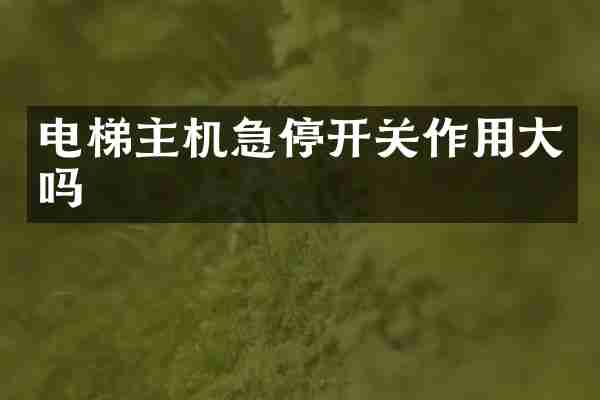 电梯主机急停开关作用大吗