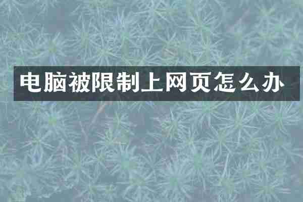 电脑被限制上网页怎么办