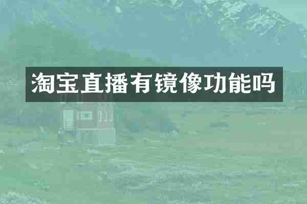 淘宝直播有镜像功能吗