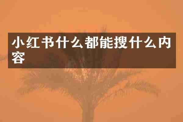 小红书什么都能搜什么内容