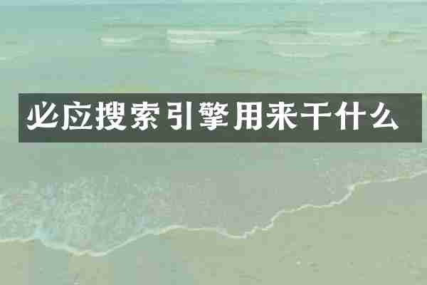 必应搜索引擎用来干什么