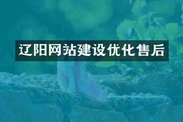 辽阳网站建设优化售后