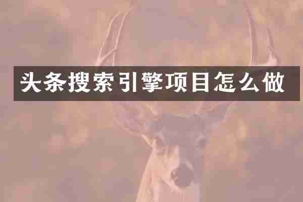 头条搜索引擎项目怎么做
