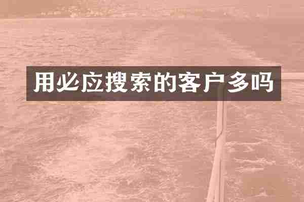 用必应搜索的客户多吗