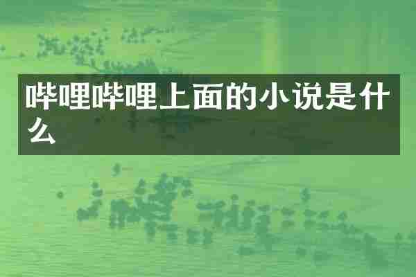 哔哩哔哩上面的小说是什么