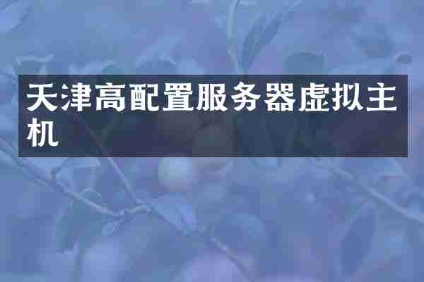 天津高配置服务器虚拟主机