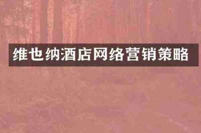 维也纳酒店网络营销策略