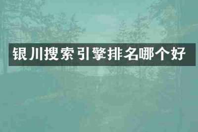 银川搜索引擎排名哪个好