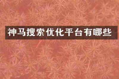 神马搜索优化平台有哪些