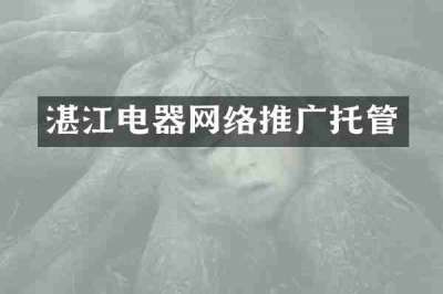 湛江电器网络推广托管