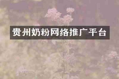 贵州奶粉网络推广平台