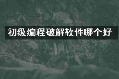 初级编程破解软件哪个好