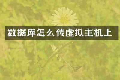 数据库怎么传虚拟主机上