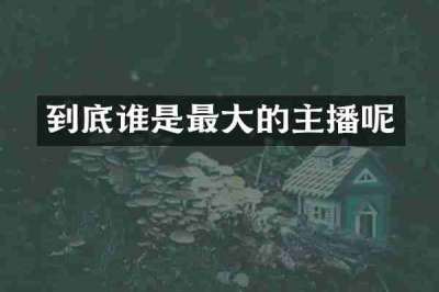 到底谁是最大的主播呢