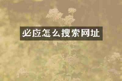 必应怎么搜索网址