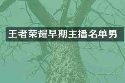 王者荣耀早期主播名单男