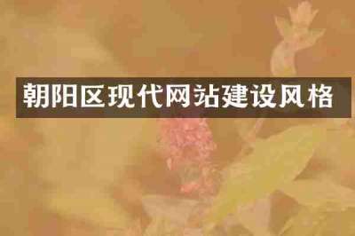 朝阳区现代网站建设风格