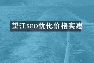 望江seo优化价格实惠