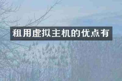 租用虚拟主机的优点有
