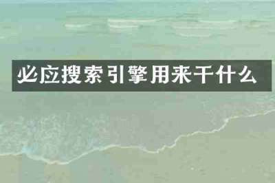 必应搜索引擎用来干什么