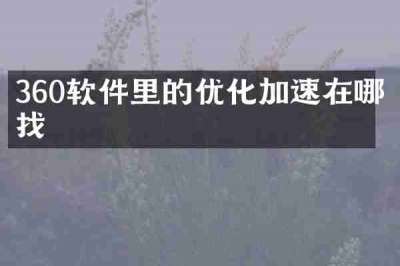 360软件里的优化加速在哪找